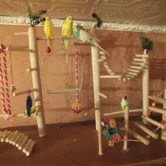Jak zrobić zabawki dla papug? Poradnik DIY i 0 toksyn!