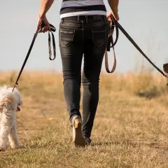 Ile powinien trwać spacer z psem? Dopasuj go do potrzeb pupila!