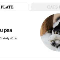 Piesek z czarno-białą sierścią leży, zasłaniając oczy łapką. Tekst informuje o biegunce u psa i kiedy należy udać się do weterynarza.