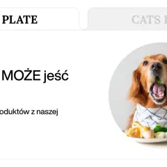 Złoty retriever z otwartym pyskiem, w którym widać zielony liść, siedzi przy stole. Obok talerz z jedzeniem i szklanka mleka. Temat: czego nie może jeść pies.