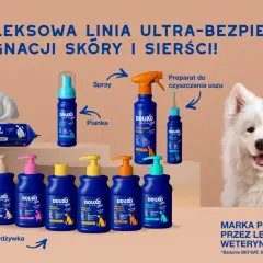 Gdzie kupić szampon dla psa? Wybierz idealny dla pupila!
