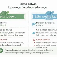 Co jedzą żółwie? Lądowe – rośliny łąkowe, wodno-lądowe – pokarm zwierzęcy. Unikaj mięsa, nabiału i przetworzonej żywności.