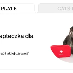 Pies z opatrzoną łapą i apteczką. Poznaj domowe sposoby na rany u psa i jak przygotować psią apteczkę.