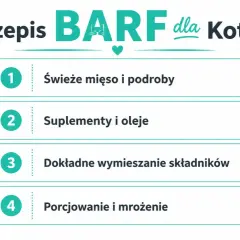 Przepis na BARF dla kota: świeże mięso, suplementy, wymieszanie i mrożenie. Zdrowa dieta dla Twojego pupila.