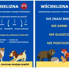 Objawy wścieklizny u psa: agresja, ślinotok, dziwne zachowanie. Nie zbliżaj się do chorych zwierząt. Zaszczep pupila!