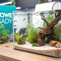 Małe akwarium z gupikami i roślinami, obok zielona tablica z napisem "GOTOWE OBSADY".