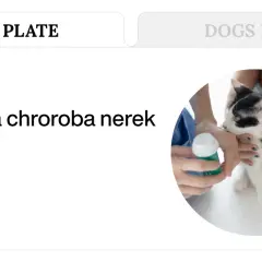 Kot z przewlekłą chorobą nerek. Pomoc dietetyczna, być może z użyciem Nefroloxan.