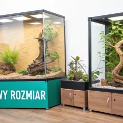 Dwa szklane teraria z roślinnością i korzeniami. Jedno z nich ma zielony napis "WŁAŚCIWY ROZMIAR".