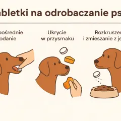 Odrobaczanie psa: Zrozum działanie tabletki i zadbaj o bezpieczeństwo