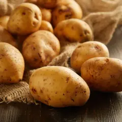 Ziemniaki na worku jutowym. Czy pies może jeść ziemniaki? Surowe ziemniaki są toksyczne dla psów, ale gotowane mogą być bezpiecznym dodatkiem do diety.