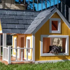 Zadaszenie dla psa DIY: Komfort i bezpieczeństwo przez cały rok