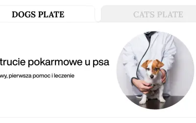 Weterynarz bada psa, który może mieć zatrucie pokarmowe. Objawy, pierwsza pomoc i leczenie.