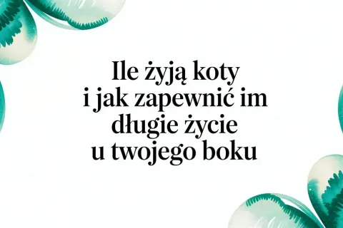 Ile żyją koty i jak zapewnić im długie życie u Twojego boku. Wskazówki dotyczące opieki nad kotem.