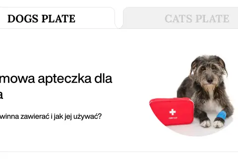 Pies z opatrzoną łapą i apteczką. Poznaj domowe sposoby na rany u psa i jak przygotować psią apteczkę.