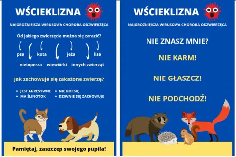 Objawy wścieklizny u psa: agresja, ślinotok, dziwne zachowanie. Nie zbliżaj się do chorych zwierząt. Zaszczep pupila!