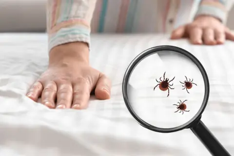Dłoń na białej pościeli, pod lupą widoczne kleszcze. To coś, czego nie lubią kleszcze – czystość i kontrola.