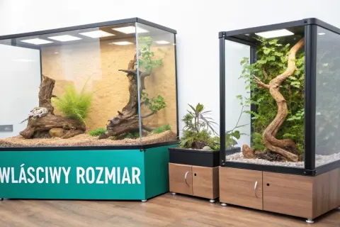 Dwa szklane teraria z roślinnością i korzeniami. Jedno z nich ma zielony napis "WŁAŚCIWY ROZMIAR".