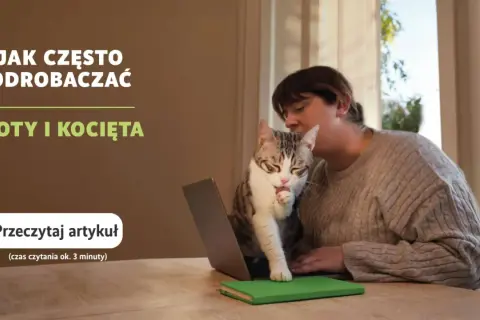 Kobieta z kotem na kolanach przed laptopem, kot liże łapkę.