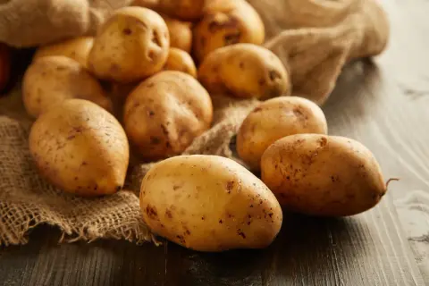 Ziemniaki na worku jutowym. Czy pies może jeść ziemniaki? Surowe ziemniaki są toksyczne dla psów, ale gotowane mogą być bezpiecznym dodatkiem do diety.