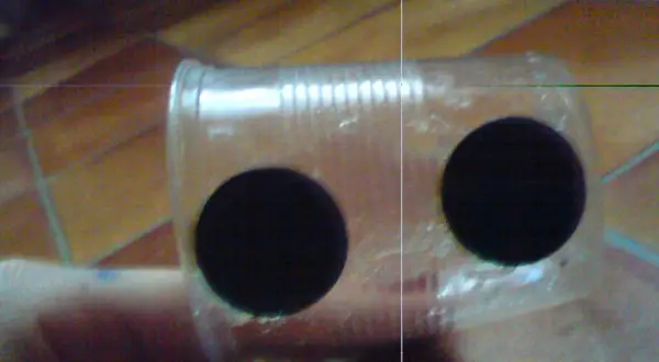 Kotnik dla rybek DIY: Jak zrobić i ocalić narybek? Instrukcja