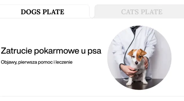 Weterynarz bada psa, który może mieć zatrucie pokarmowe. Objawy, pierwsza pomoc i leczenie.