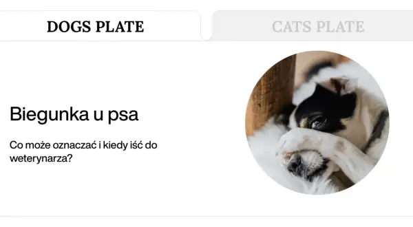 Piesek z czarno-białą sierścią leży, zasłaniając oczy łapką. Tekst informuje o biegunce u psa i kiedy należy udać się do weterynarza.