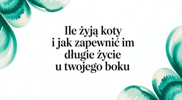 Ile żyją koty i jak zapewnić im długie życie u Twojego boku. Wskazówki dotyczące opieki nad kotem.