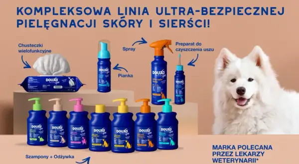 Gdzie kupić szampon dla psa? Wybierz idealny dla pupila!