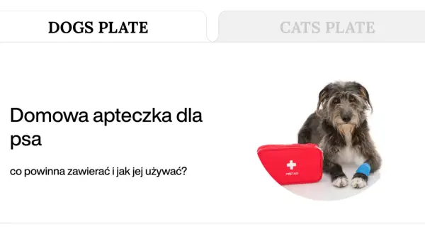 Pies z opatrzoną łapą i apteczką. Poznaj domowe sposoby na rany u psa i jak przygotować psią apteczkę.