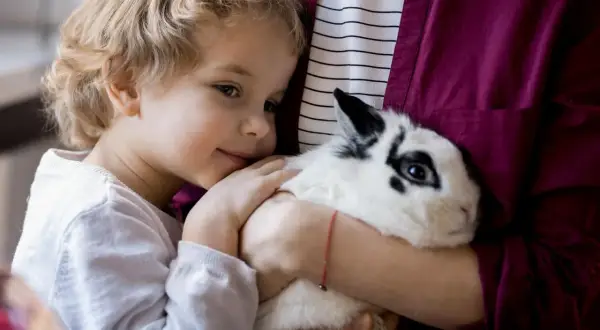 Uśmiechnięta dziewczynka tuli czarno-białego królika miniaturkę. Zastanawia się, ile kosztuje królik miniaturka, gdy go przytula.