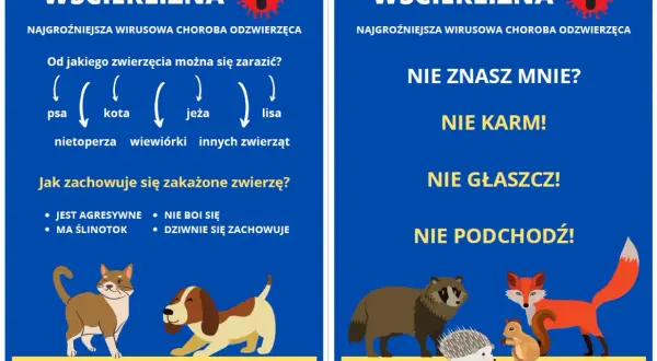 Objawy wścieklizny u psa: agresja, ślinotok, dziwne zachowanie. Nie zbliżaj się do chorych zwierząt. Zaszczep pupila!