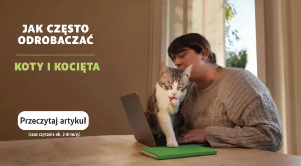 Kobieta z kotem na kolanach przed laptopem, kot liże łapkę.