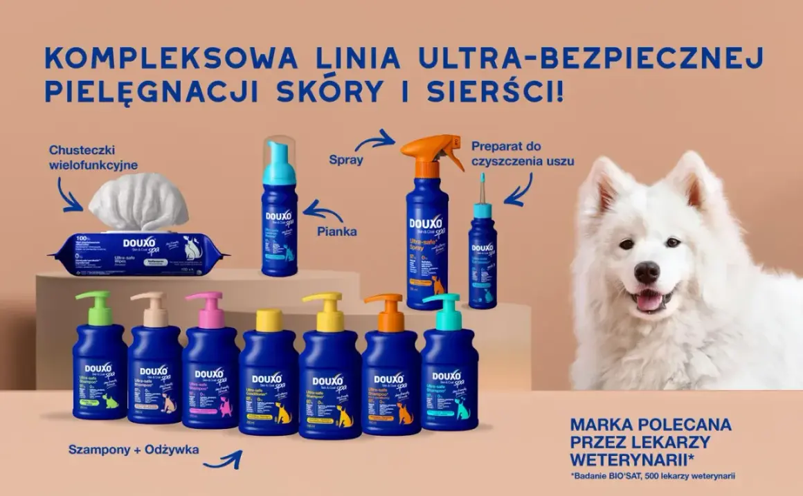 Gdzie kupić szampon dla psa? Wybierz idealny dla pupila!