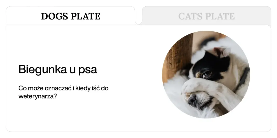 Biegunka u psa: Co podać i kiedy pilnie do weterynarza?