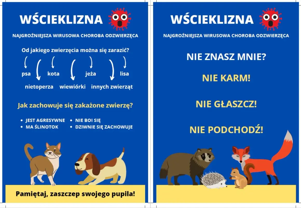 Objawy wścieklizny u psa: agresja, ślinotok, dziwne zachowanie. Nie zbliżaj się do chorych zwierząt. Zaszczep pupila!