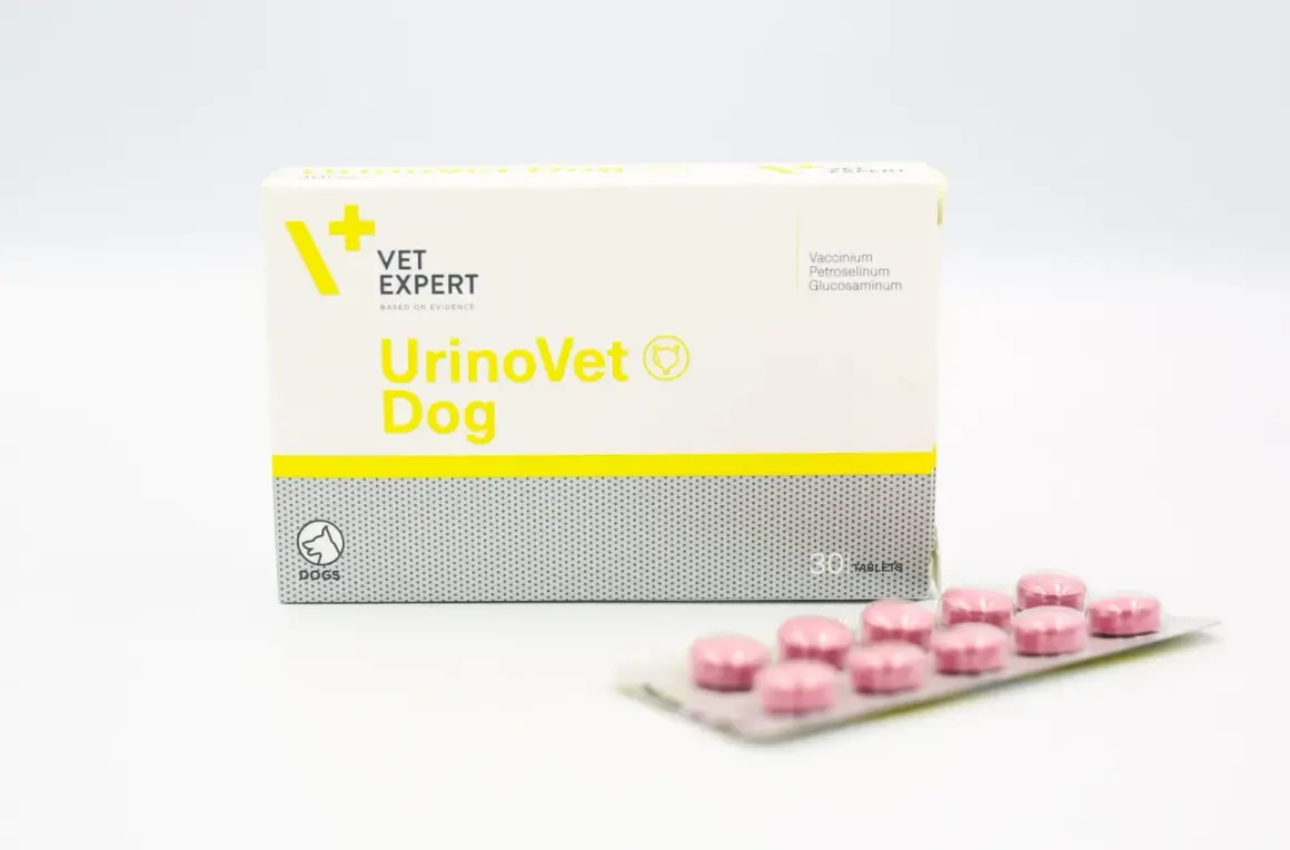 Opakowanie Urinovet Dog z tabletkami. Preparat dla psów wspierający zdrowie dróg moczowych.