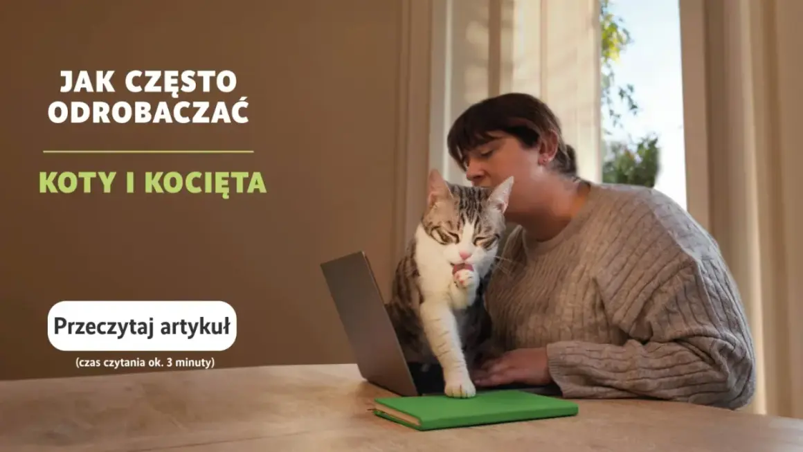 Kobieta z kotem na kolanach przed laptopem, kot liże łapkę.