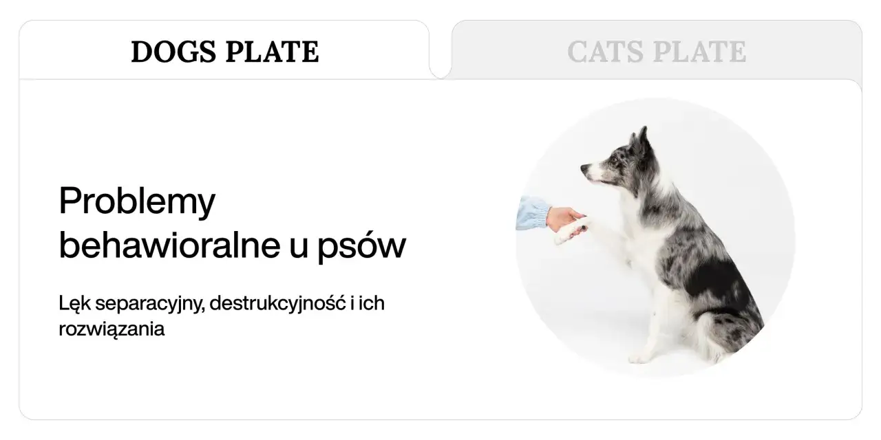 Pies podaje łapę, symbolizując problemy behawioralne, w tym lęk separacyjny, i ich rozwiązania.