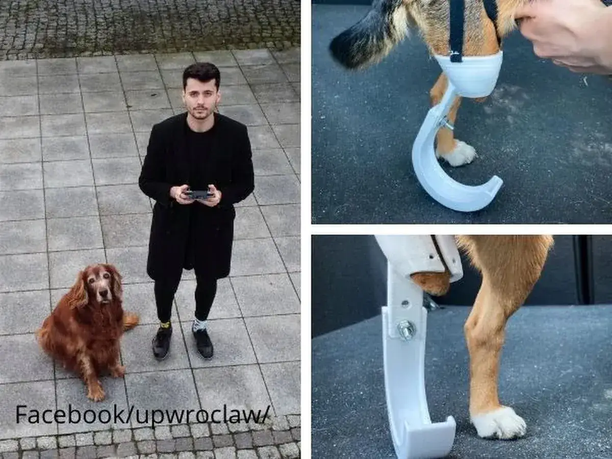 Mężczyzna z psem i protezą łapy. Dowiedz się, ile kosztuje proteza dla psa i jak pomaga zwierzętom.