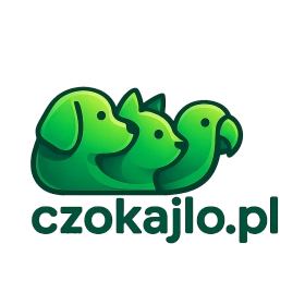 czokajlo.pl