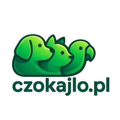 Logo czokajlo.pl