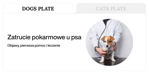 Zatrucie pokarmowe u psa - Jak odróżnić niestrawność od zagrożenia?