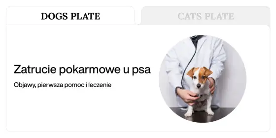 Zatrucie pokarmowe u psa - Jak odróżnić niestrawność od zagrożenia?