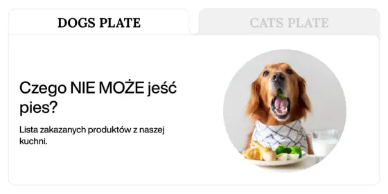Czego nie może jeść pies? Lista toksycznych produktów i pomoc