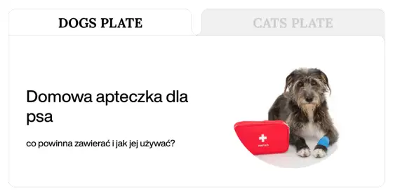 Domowe sposoby na rany u psa - Jak bezpiecznie opatrzyć skaleczenie?