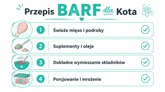 Przepis BARF dla kota bez zgadywania. Premiks, porcje i higiena