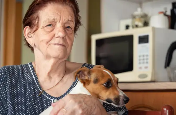 Jaki pies dla 60-latka? Wybierz idealnego towarzysza na lata!