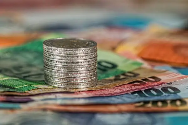 Norwegia: Zarobki weterynarza. Czy wysoka pensja wystarczy?