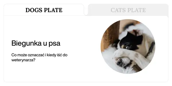 Biegunka u psa: Co podać i kiedy pilnie do weterynarza?