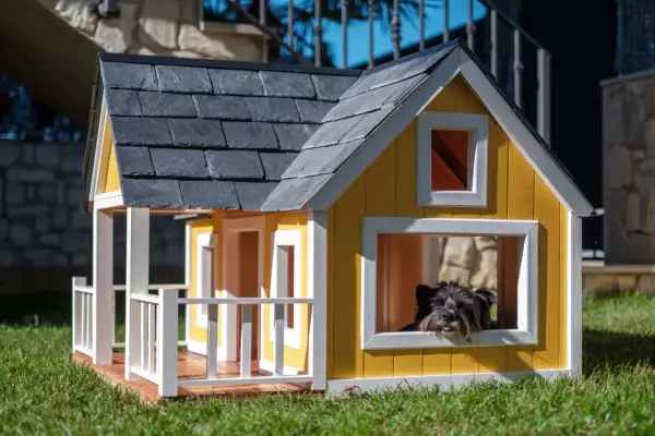 Zadaszenie dla psa DIY: Komfort i bezpieczeństwo przez cały rok